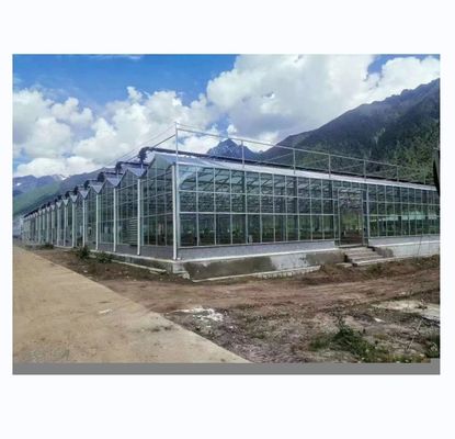 8m 9,6m 12m Larghezza di Spano Serra multispan con sistema idroponico e struttura in vetro