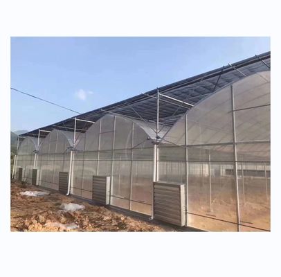 Vegetali Frutti Fiori Film Serra Cinese Serra Multi Span per l'agricoltura dei pomodori