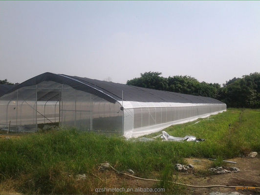 Serra agricola idroponica per pomodori per un rendimento maggiore in un unico progetto di span