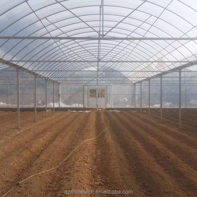 Vegetali Frutti Fiori Film Serra Cinese Serra Multi Span per l'agricoltura dei pomodori