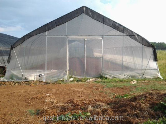 Serra agricola idroponica per pomodori per un rendimento maggiore in un unico progetto di span