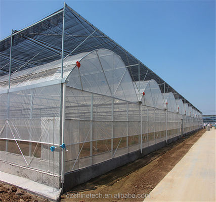 Vegetali Frutti Fiori Film Serra Cinese Serra Multi Span per l'agricoltura dei pomodori