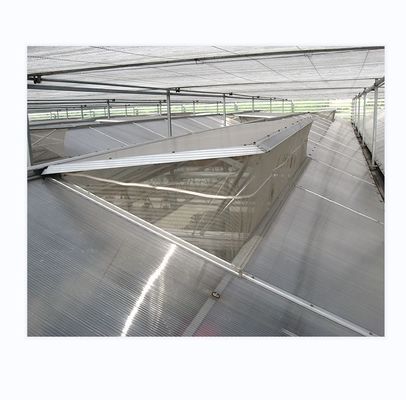 Serre agricole prefabbricate con lamiere di policarbonato industriale e sistema di raffreddamento
