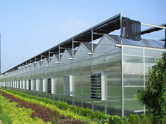 Serre agricole prefabbricate con lamiere di policarbonato industriale e sistema di raffreddamento