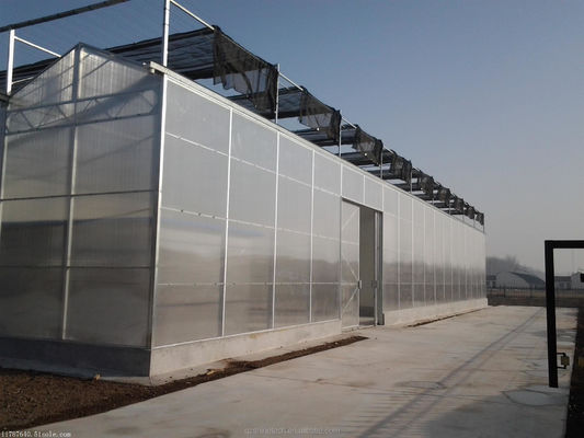 Serre agricole prefabbricate con lamiere di policarbonato industriale e sistema di raffreddamento