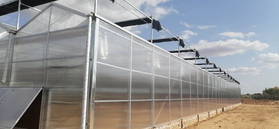 Serre agricole prefabbricate con lamiere di policarbonato industriale e sistema di raffreddamento
