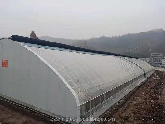 Lunghezza 50-120m Serra solare commerciale a doppio isolamento per inverno e zone fredde