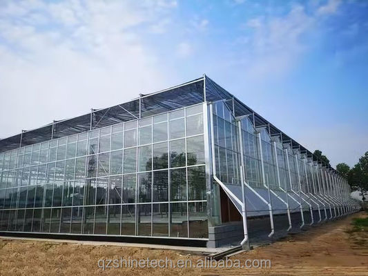 Serra in vetro di vetro Venlo a super forte resistenza per il progetto commerciale agricolo chiavi in mano