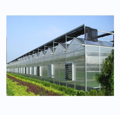 Serre agricola su larga scala per la coltivazione di ortaggi e fiori
