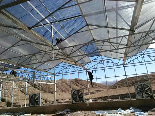 Serre agricola su larga scala per la coltivazione di ortaggi e fiori