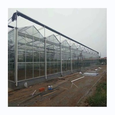 Attrezzature agricole per serre in vetro multi-span per ortaggi, frutta e fiori