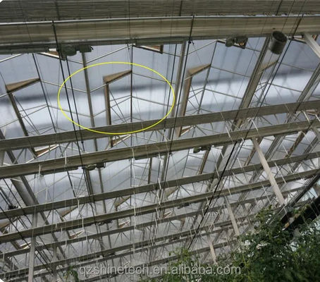 Attrezzature agricole per serre in vetro multi-span per ortaggi, frutta e fiori