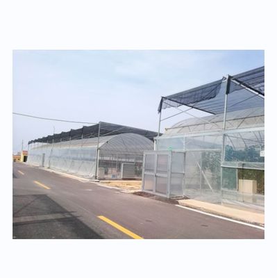 4.0-8.0M Altezza Serra agricola a pellicola multi-span con resistenza super forte