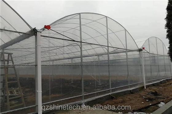 4.0-8.0M Altezza Serra agricola a pellicola multi-span con resistenza super forte