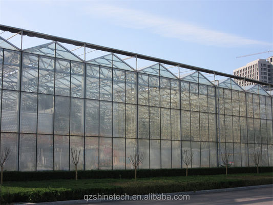 Attrezzature agricole per serre in vetro multi-span per ortaggi, frutta e fiori