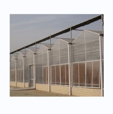 Serre agricole multi-spano per l'agricoltura sostenibile