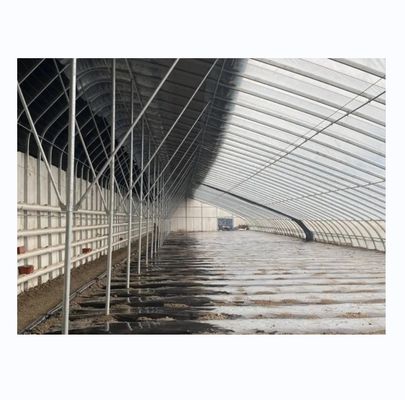 Serre solari invernali Serre agricola calda con telaio in acciaio galvanizzato
