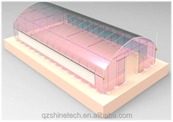 Copertina del film 50x8m Single Span Type Agricultural Tunnel Serra con altezza da 3,5 a 5 metri