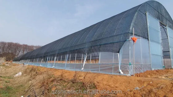 Copertina del film 50x8m Single Span Type Agricultural Tunnel Serra con altezza da 3,5 a 5 metri