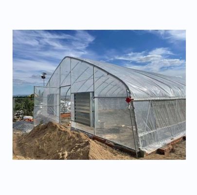 Serra in galleggiamento polidiossido ad alta resistenza per la produzione di pomodori