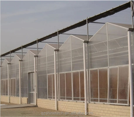 Ortaggi Frutti Fiori Serre agricole multi-span con sistemi idroponici
