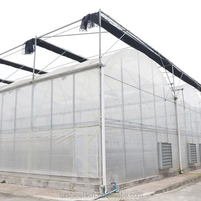 PE Serra multi-span per la coltivazione e l'agricoltura di pomodori in climi tropicali