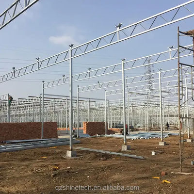 Ortaggi Frutti Fiori Serre agricole multi-span con sistemi idroponici