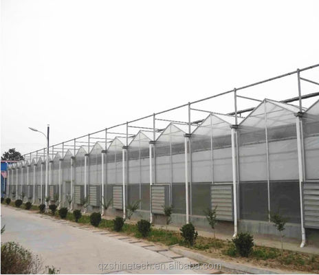 Ortaggi Frutti Fiori Serre agricole multi-span con sistemi idroponici