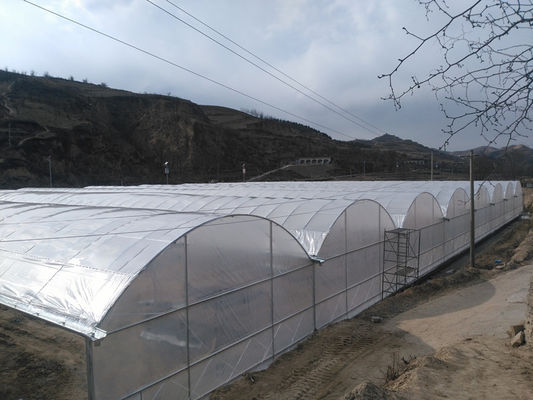 Serra agricola a caldo galvanizzata con telaio di tubi in acciaio