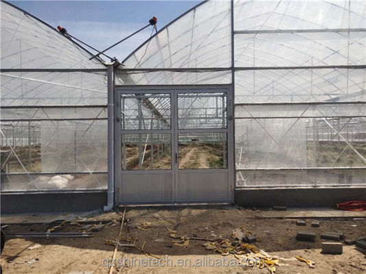 Serra agricola a caldo galvanizzata con telaio di tubi in acciaio
