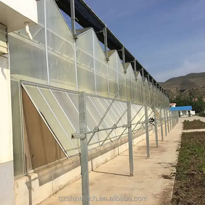 Serre in policarbonato a super resistenza completa per agricoltura commerciale