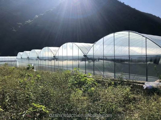 Serra agricola a caldo galvanizzata con telaio di tubi in acciaio