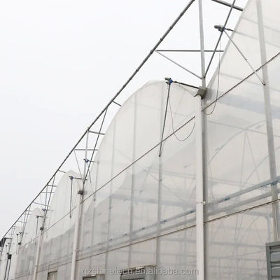 Serra agricola a caldo galvanizzata con telaio di tubi in acciaio