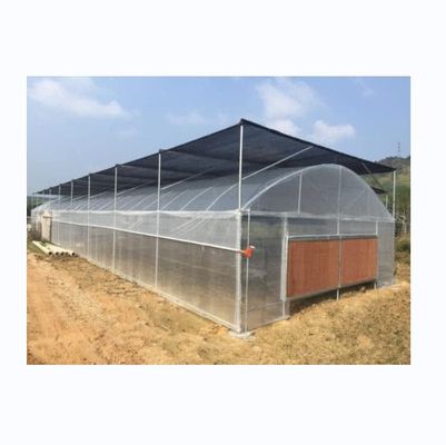 Serre a pellicola di plastica PE a lunghezza singola per l'agricoltura ortofruttica 10-100m