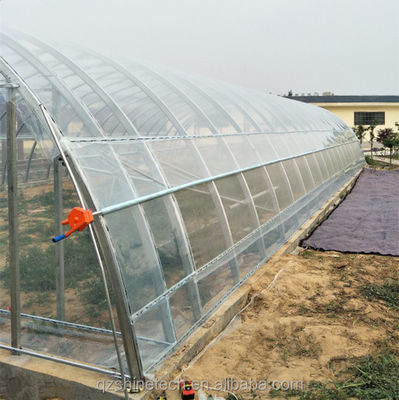 Serre a pellicola di plastica PE a lunghezza singola per l'agricoltura ortofruttica 10-100m
