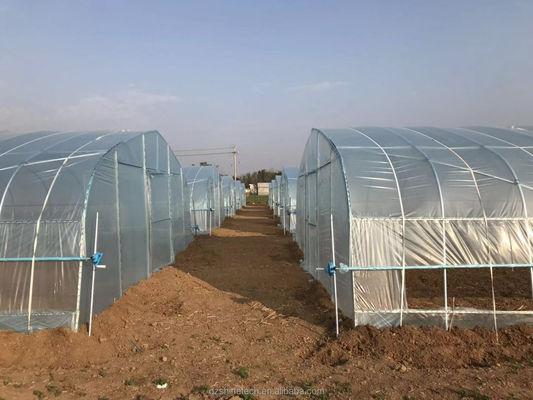 Serre a pellicola di plastica PE a lunghezza singola per l'agricoltura ortofruttica 10-100m