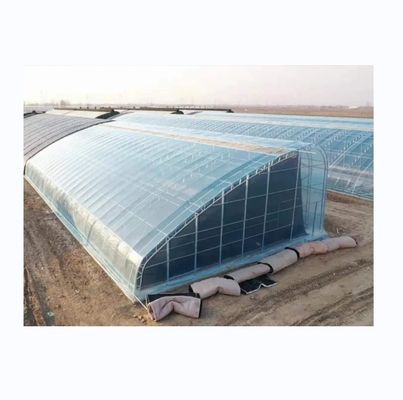 Risparmio energetico Piccole serre solari a una sola portata per climi freddi