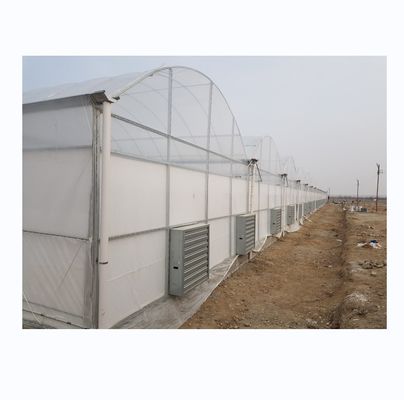 Super forte resistenza multi-spano serra agricola da Shine Tech