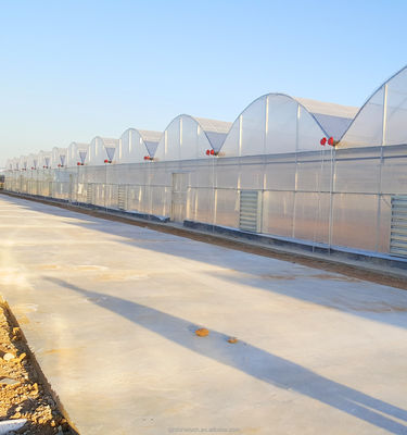 Super forte resistenza multi-spano serra agricola da Shine Tech