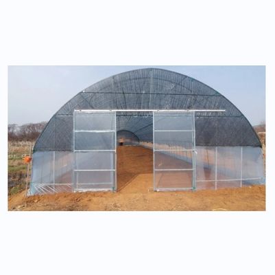 Serra di pomodori coperta da pellicola ad alta galleria con rete ombrosa singolo strato 10-100m lunghezza