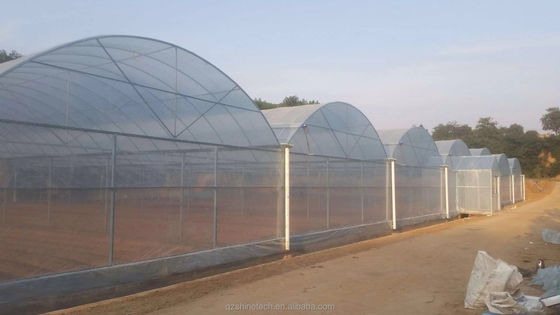 Super forte resistenza multi-spano serra agricola da Shine Tech