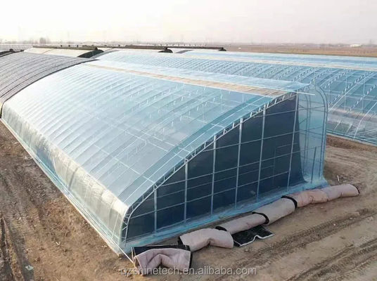 Risparmio energetico Piccole serre solari a una sola portata per climi freddi