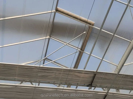 4m larghezza di baia Multi Span serra materiale di copertura agricola Super forte resistenza