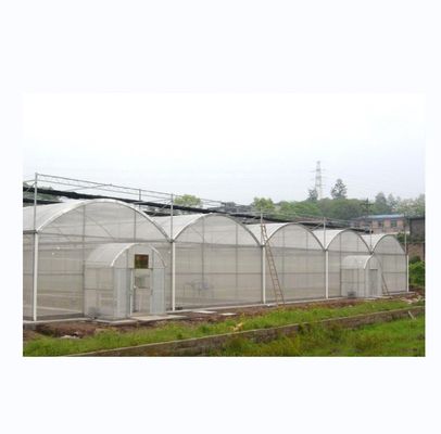 Super forte resistenza Agricoltura Serra multispan per la coltivazione di ortaggi