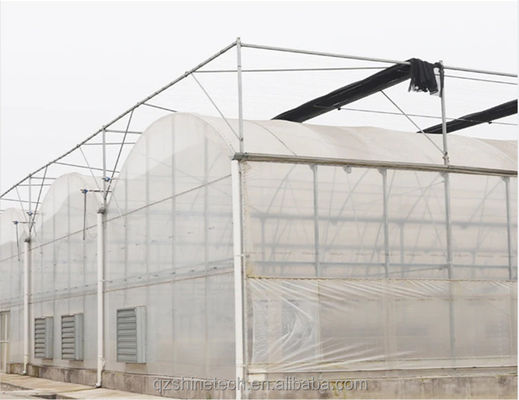 Super forte resistenza Agricoltura Serra multispan per la coltivazione di ortaggi