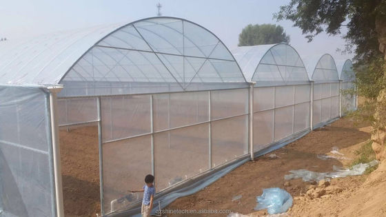 Super forte resistenza Agricoltura Serra multispan per la coltivazione di ortaggi
