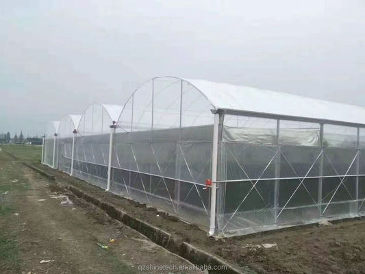 Super forte resistenza Agricoltura Serra multispan per la coltivazione di ortaggi