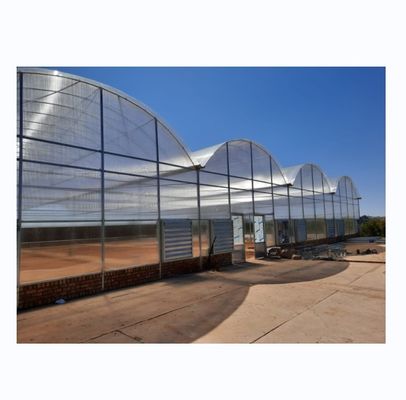 Serra multi-span commerciale per l'agricoltura Smart Venlo PC Altura 4.0-8.0M
