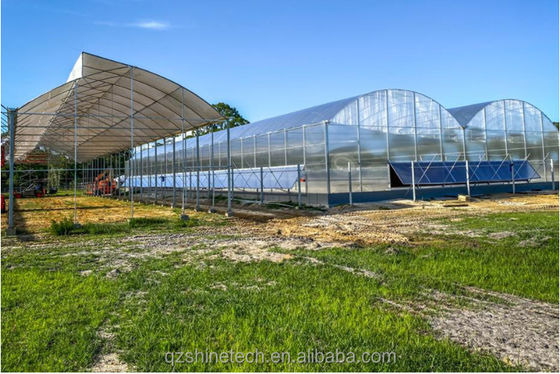 Serra multi-span commerciale per l'agricoltura Smart Venlo PC Altura 4.0-8.0M