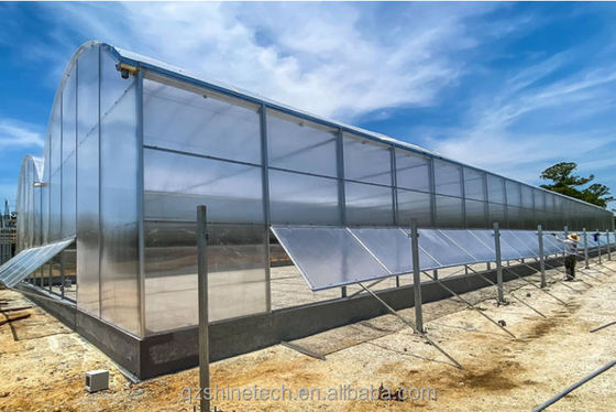 Serra multi-span commerciale per l'agricoltura Smart Venlo PC Altura 4.0-8.0M